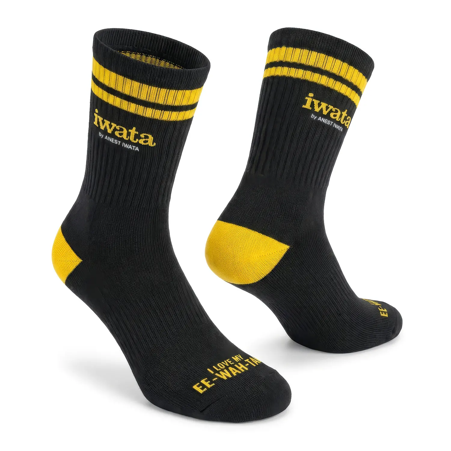 Iwata Socks